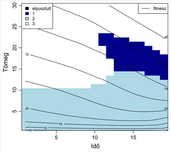 Evolúciós modellek 2. Optimalizáció A példában az egyed 3 habitat (folt) közül választhat, az ábra az optimális stratégiát mutatja az idő (x tengely) és a testtömeg (y tengely) függvényében.
