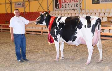 Hajdúnánás A kiállítás Grand Champion