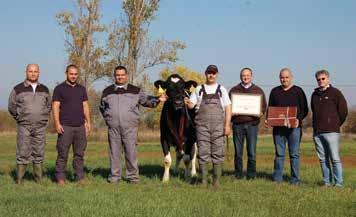 EGYESÜLETI ÉLET 100.000 kg életteljesítményű tehenek avatása Kőrösi Zsolt Mezőkovácsházi Új-Alkotmány Mg. Kft.