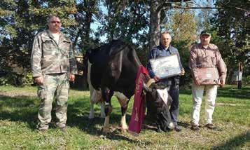 aranytörzskönyves tehénként avattuk október 10-én a derecskei Kasz-Farm Kft. tehenészetében a 30880 4048 9 számú MARGÓ-t.