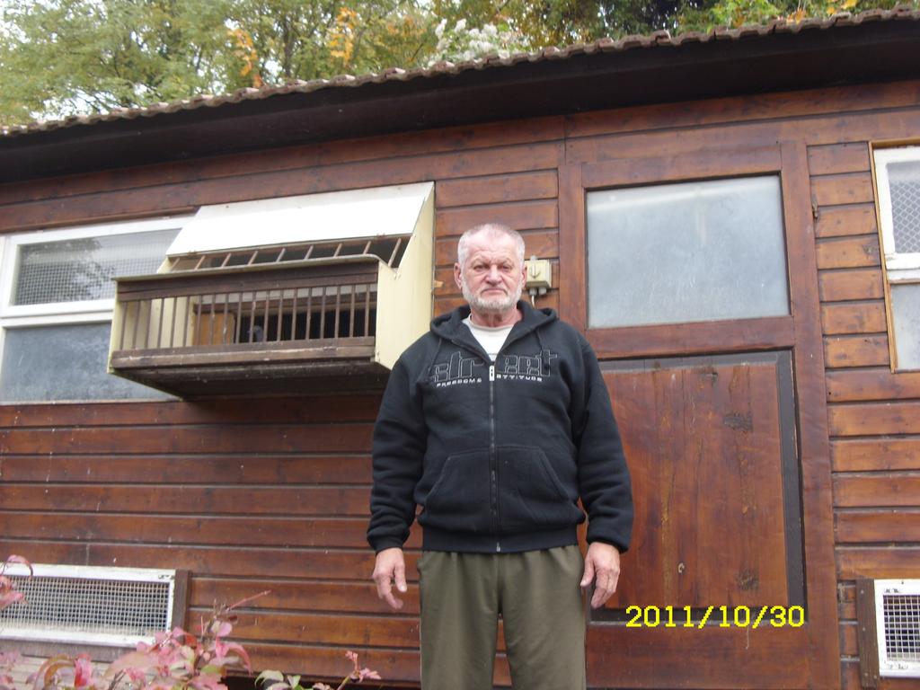 ÉVI OSSZÚÁVÚ CSAPABAJNOK VÁREGYI ISVÁN A- Sződ egyesület VÁC, Pavölgy út elefon: Email: varhegyi.family@gmail.com Bemutatkozásom már több alkalommal megtörtént, mivel galambjaim már kb.