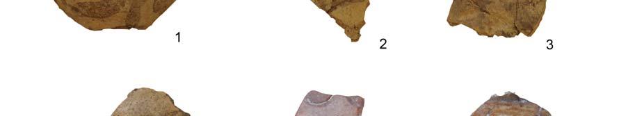 233 Fig. 10.: Painted ware from Garadna-Elkerülő út, site No. 2, 1 pit S55, 2-3 pit S11, 4 unit S31, 5-6 pit S14 10. ábra: Festett kerámia Garadna-Elkerülő út, 2.