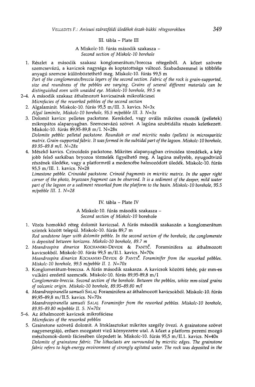 VELLEDITS F.: Anisusi szárazföldi üledékek észak-bükki rétegsorokban 349 III. tábla - Plate III A Miskolc-10. fúrás második szakasza - Second section of Miskolc-10 borehole 1.