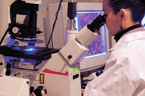 TUDOMÁNYOS BIZONYÍTÉKOK 13 A BIOMET3i fogimplantátumok széles körben elterjedtek, ugyanakkor nagy klinikai és tudományos elismertségnek is örvendenek.