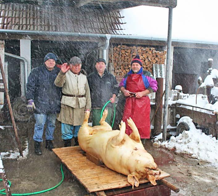 Örvendetes, hogy sokan őrzik a falusi élethez egykoron elválaszthatatlanul hozzátartozó disznóölés, kolbásztöltés, füstölés hagyományát.