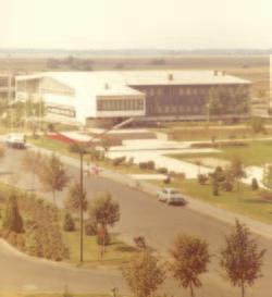 Ezek sorába tartoznak például a mai Sportcentrum első épületei is, amelyek még 1979-ben épültek meg.
