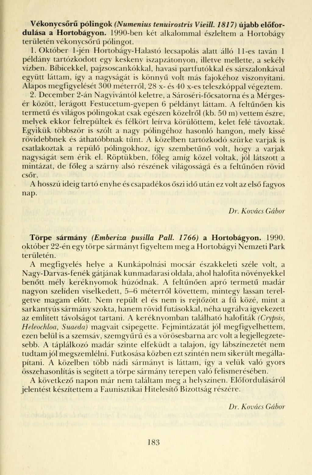 Vékonycsőrű pólingok (Numenius tenuirostris Vieill. 18