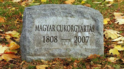 A nyugdíjas asszonykórus azonban él és virul.