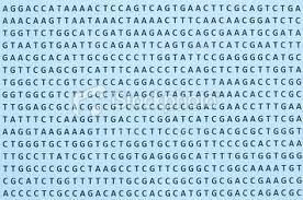 DNA: the