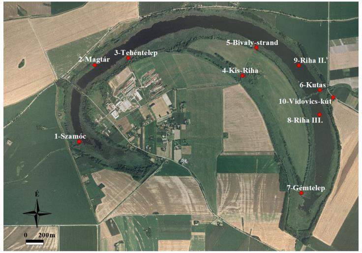 meghatározására kifejlesztett végleges minősítési rendszerrel az állóvizek esetében (HALASI-KOVÁCS B. et al. 2009).