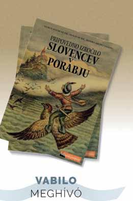 civilne organizacije, ki so povezane s slovensko skupnostjo - ustanove Državne slovenske samouprave - fizične osebe.