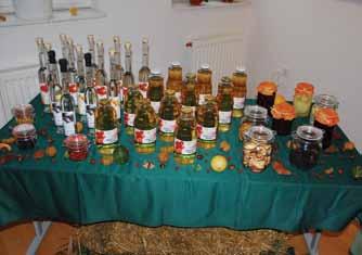 4 PREKMURJE Penezi Znamo, ka vogrski rosag zadnja lejta malo bole, kak je prva, pomaga Vougrom, steri živejo zvün granice.