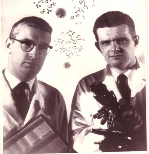 CML Cytogenetika 1960 Peter