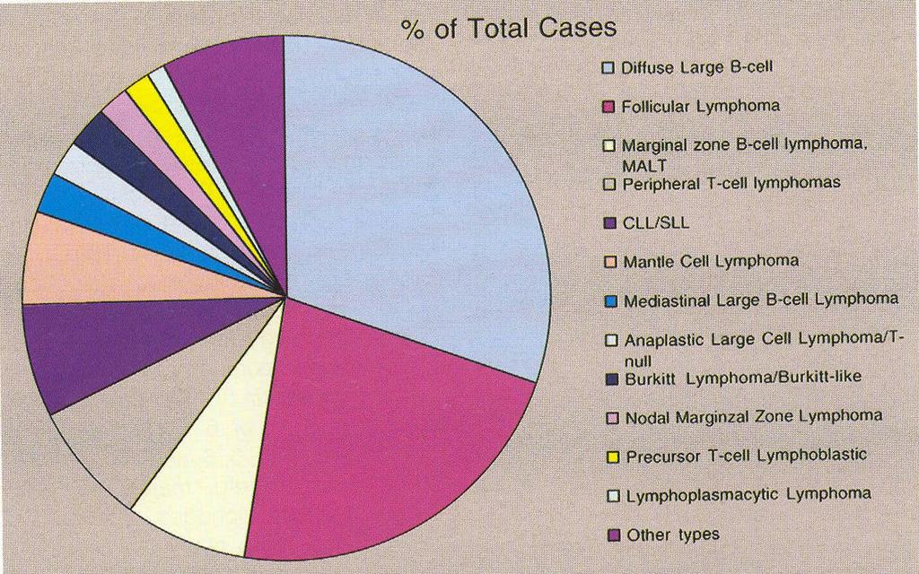 A lymphoid rendszer