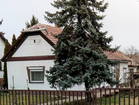 Ernszt-, majd Erdős Ferenc-házat, mely szintén az 1930-as években épülhetett, s a már,,jellegzetesnek mondható tornácbefalazást és ablakcserét nem számítva, őrzi az eredeti hangulatot.