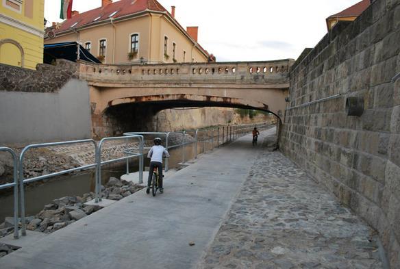 A meder és a part zöldfelületi borítottsága változatossága növekszik vízparti és vízimitátor lágyszárúak megjelennek.