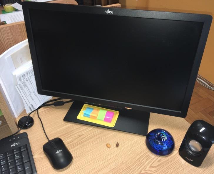 Fujitsu Esprimo P556 Asztali számítógép Monitor 7.