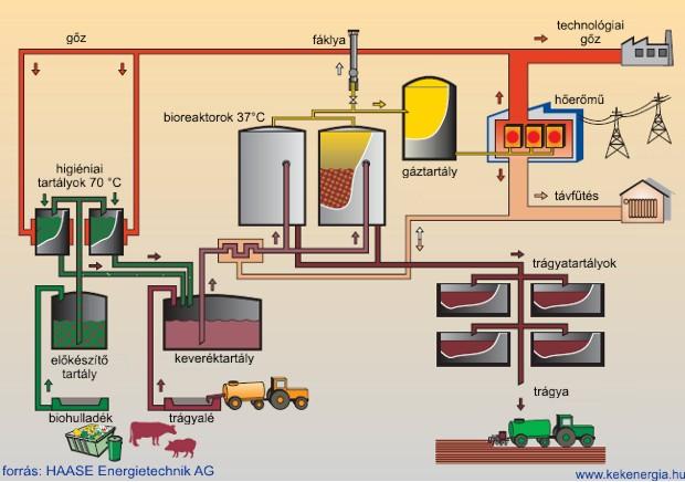 6 A biogáz termelő rendszerben a nyersanyagot nagy térfogatú tárolómedencébe gyűjtik, hogy a reaktor (erjesztő-kamra) folyamatos ellátását biztosítsák.