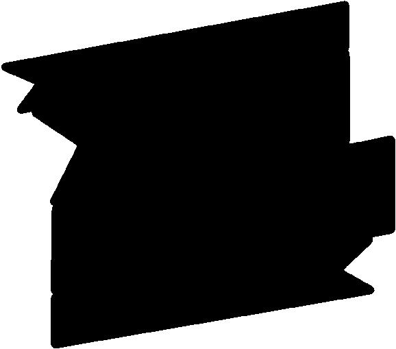 oradea ORGANIZATOR 18-24