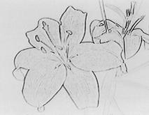 ART [a] : Farby a jas sa zobrazia inverzne. SEPIA : Obraz sa tónuje do hneda.