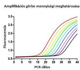 8.3. qpcr (Real-time- vagy kvantitatívpcr) Az eljárás lényege, hogy a DNS amplifikációját kvantitatívan tudjuk végigkövetni.