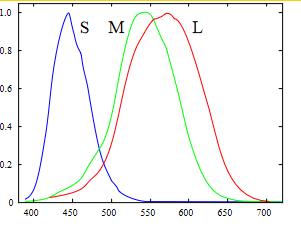 Ezért a vörös (R), zöld (G) és kék (B) színeket szoktuk alapszíneknek nevezni. Ezek adják az RGB színteret. Amikor alapszíneket keverünk össze más színeket kapunk.
