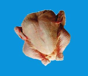 1290,-/kg
