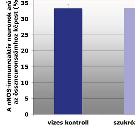 8. ábra Vizes kontroll, cukoroldatot fogyasztó kontroll és krónikus alkoholkezelt egerekben a nnos- és PGP9.