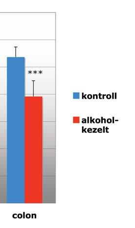 egyes oszlopokban a 6 hét számadatainak átlagát mutatom be (10.A,B ábra).