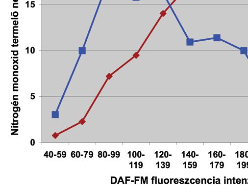 13. ábra A krónikus alkoholfogyasztás hatása jejunális myentericus neuronok DAF- FM fluoreszcencia intenzitására.