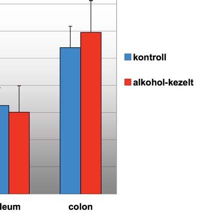ábra). 16. ábra Indukálható nitrogén-monoxid szintáz (inos) aktivitás patkány bélcsatorna különböz szakaszaiban krónikus alkoholkezelt és kontroll körülmények között.