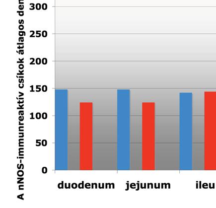 18. ábra Kontroll és alkoholkezelt patkányok négy különböz bélszakaszából származó fehérjehomogenizátumokban a neuronális nitrogén-monoxid szintáz