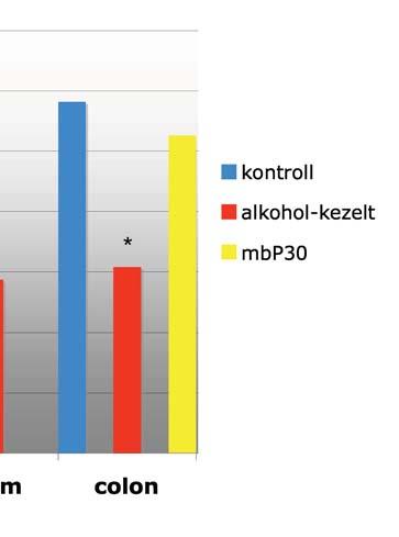A colonban a fehérjedenzitás krónikus alkoholfogyasztást követ en szignifikánsan lecsökkent (*P<0,05).