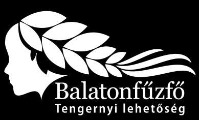 Tervező neve és elérhetősége: PAGONY Táj- és Kertépítész Kft. 1111 Budapest, Bartók Béla út 34. III/3. A Magyar Állam által nyújtott támogatás összege: 29 778 347 Ft (100%).