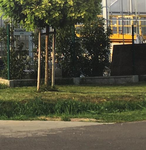 je postao brend za hibride paprike sa čvrstim tržišnim temeljima, unatoč činjenici da smo mi samo zrno pijeska na plaži na