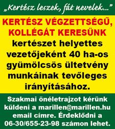 teljesítményünket is növeli.