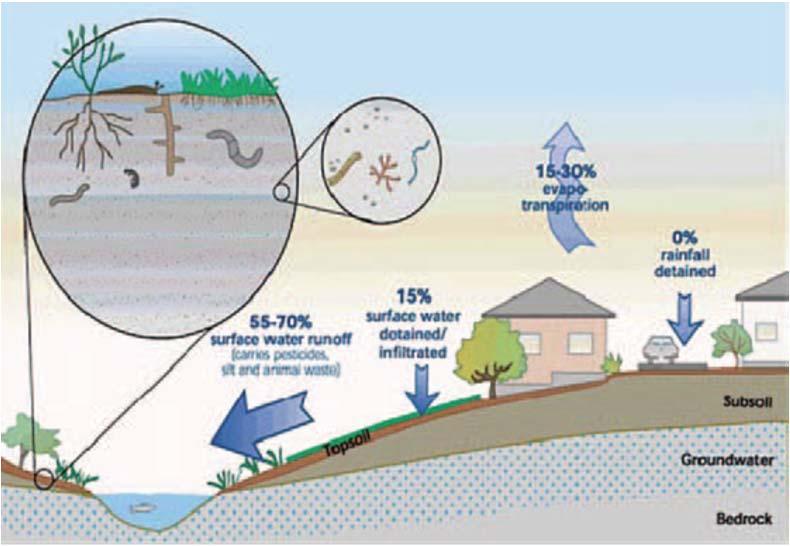 surface slope, vegetation, degree of surface loading, and soil texture, structure, density and compaction.