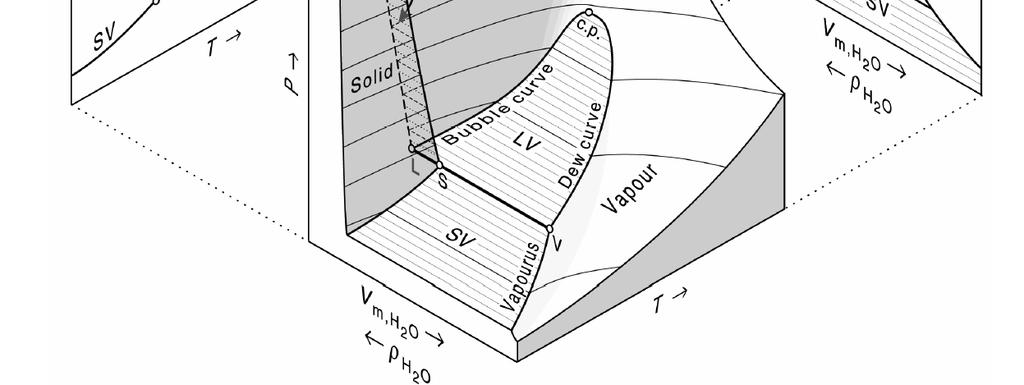negative Clapeyron slope Simple fluid systems