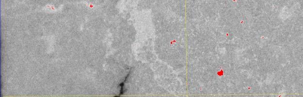 BODA SAMPLE - J.C. Parneix ERM Autoradiography (resolution 20 µm) 1cm Porosity (%) 14 12 10 8 6 4 2 Porosity profile 1.