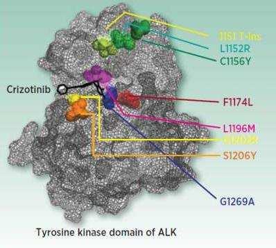 ALK+ NSCLC: mi a racionalitás az ALK gátlók szekvenciális alkalmazása mögött?