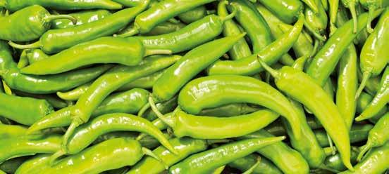 SERTÉSHÚS, 500 g 7% zsrtartalom Hossz: minimum 15 cm* A kép
