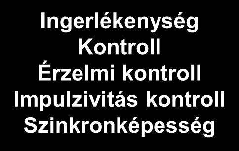 Kitartás Koherencia érzék