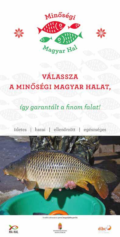 oldal A halgazdálkodási és halvédelmi bírságról szóló rendelet módosult 11.
