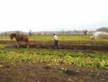 rész Új ortopédiai szerkesztő és mérő szoftver Crop Production NAGY JÁNOS főszerkesztő a Magyar Tudományos Akadémia doktora, Debreceni Egyetem prorektora, 108. évfolyam 4.