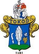 Tatabányai szennyvíztisztító telep fejlesztése projekttel érintett közművek, valamint a vagyonértékelés alapján a Gördülő Fejlesztési Terv összeállításához szükséges Pótlási Terv elkészítését