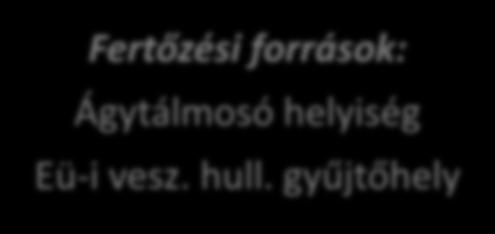 helyiség Eü-i vesz. hull.