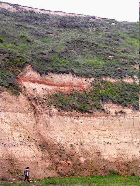 talajképződés (interglaciálisokban) fosszilis talajrétegek Az