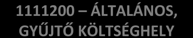 KÖLTSÉGHELY ÜZEMGAZDASÁG A