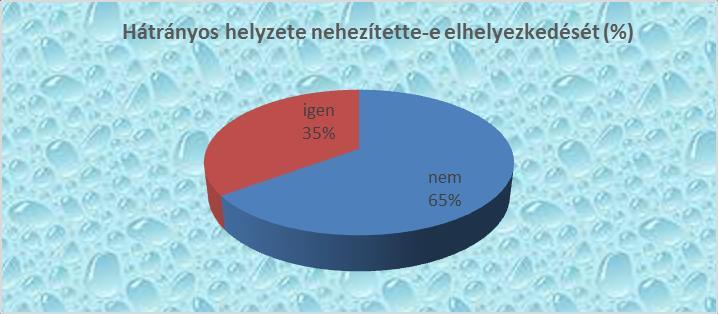 Álláskeresését az előbbiekben megjelölt körülmények valamelyike nehezítette-e: Az igennel válaszolók az alábbi indokokat jelölték meg nehézségként: - Szakmai végzettség, gyakorlat hiánya - Élekor,