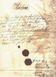 A BÁCSALMÁSI FISCHHOF MIKSA (MAXIMILIAN) ADÁSVÉTELI SZERZŐDÉSE 1850-BEN, BOLYBAN KELTEZVE A kiterjedt